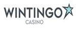 Wintingo Online Casino Review