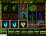 Riddle Jungle Online Video Slot