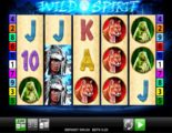 Wild Spirit Online Video Slot