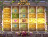 Wild Mantra Online Video Slot