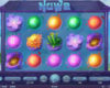 Nuwa Online Video Slot