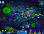 Fish Catch Online Video Slot