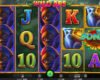 Wild Ape Online Video Slot