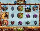 Untamed Wilds Online Video Slot