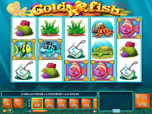 Gold Fish Online Video Slot