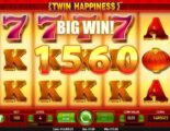 Twin Happiness Online Video Slot
