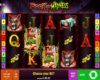 Book of Madness Online Video Slot