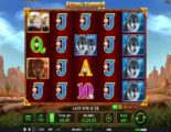 Arizona Diamonds Quattro Online Video Slot