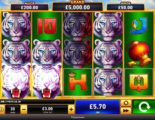 Tiger Stacks Online Video Slot