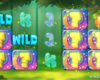 Wonder Woods Online Video Slot
