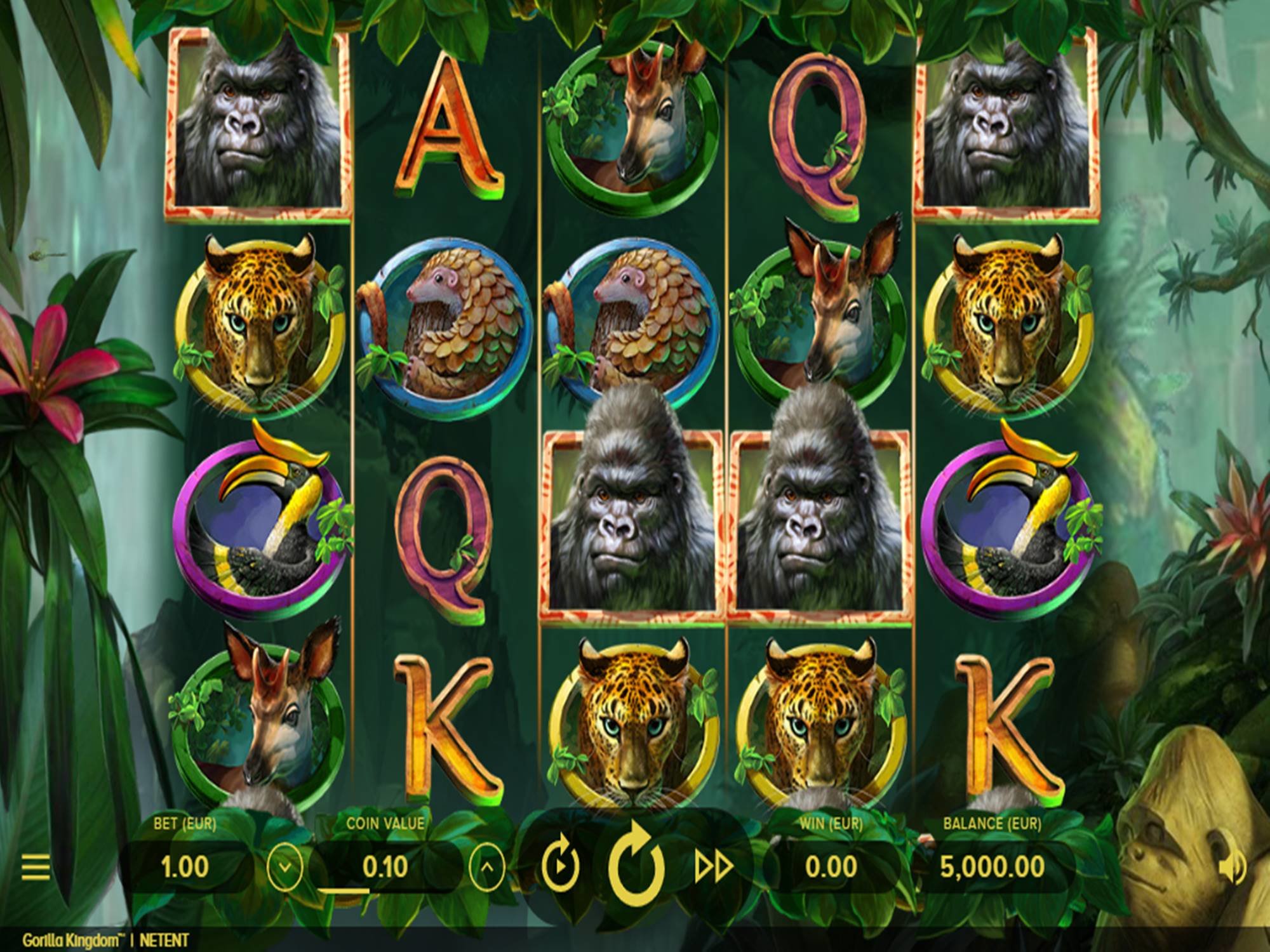 Gorilla Kingdom Online Video Slot