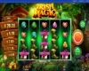 Irish Magic Online Video Slot