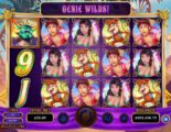 5 Wishes Online Video Slot