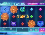 Midnight Wilds Online Video Slot