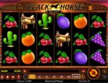 Black Horse Deluxe Online Video Slot