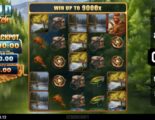 Wild Catch Online Video Slot