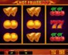 Hot Fruits 27 Online Video Slot
