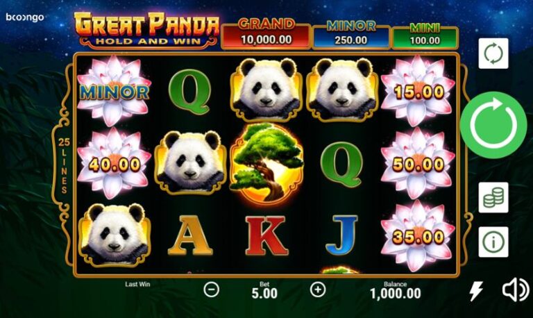 Great Panda: Hold and Win Online Video Slot