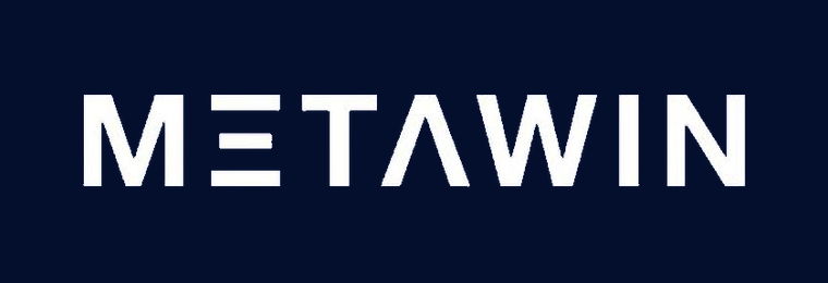 MetaWin Studios logo