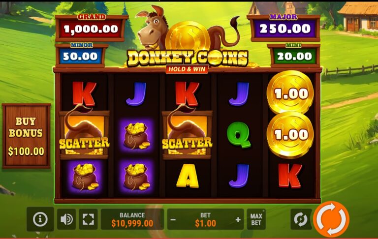 Donkey Coins Hold & Win Online Video Slot