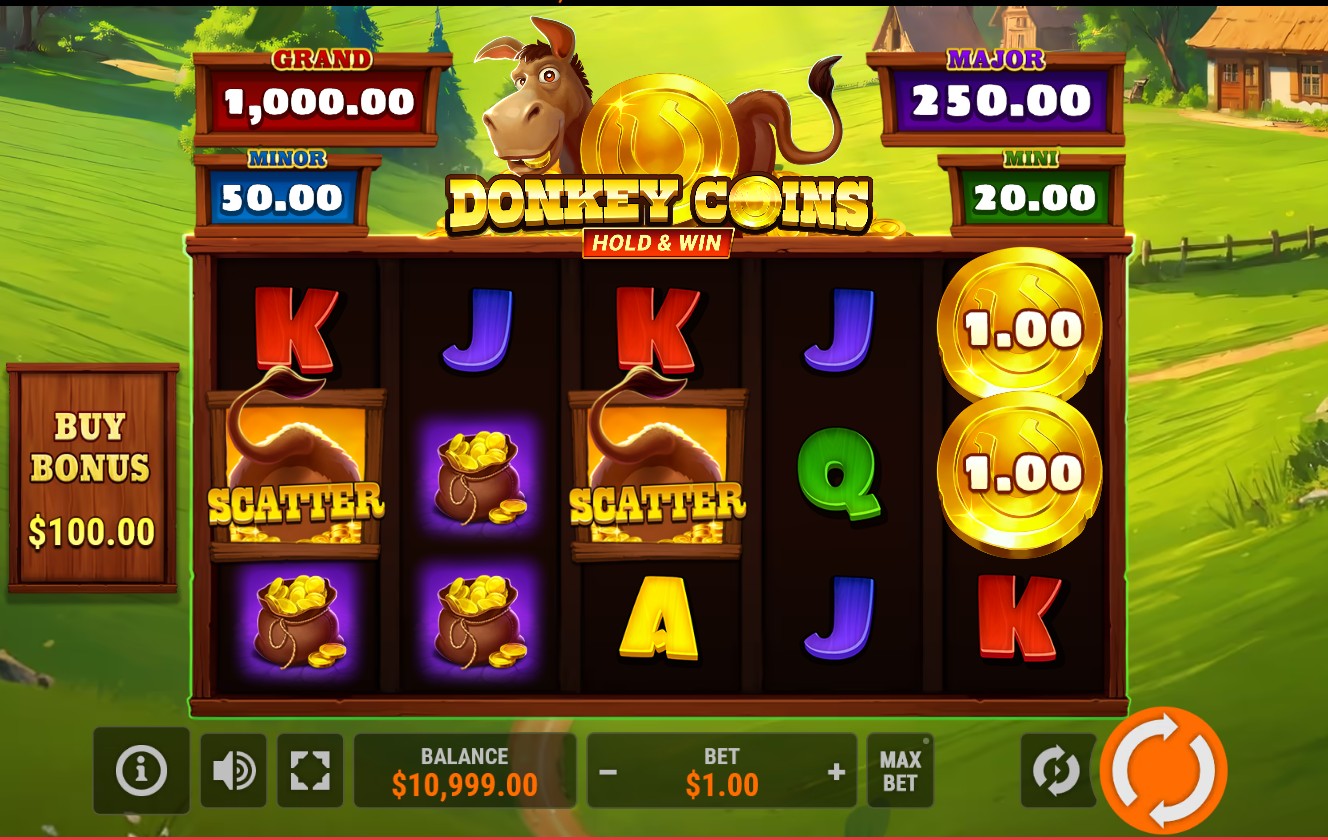 Donkey Coins Hold & Win Online Video Slot