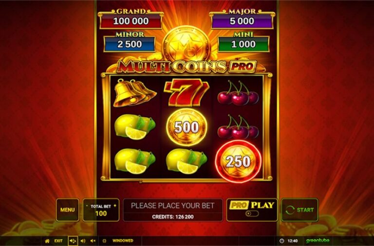 Multi Coins Pro Online Video Slot gameplay screenshot