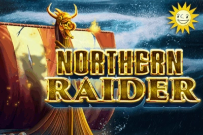 Northern Raider Online Video Slot gameplay screenshot