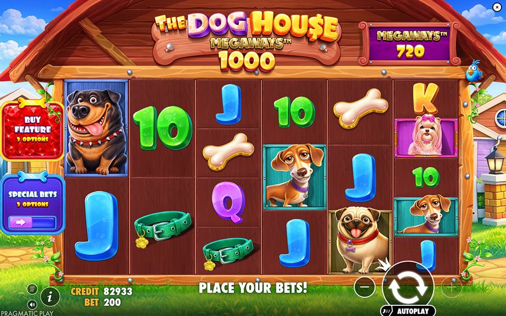 The Dog House Megaways 1000 Online Video Slot gameplay screenshot