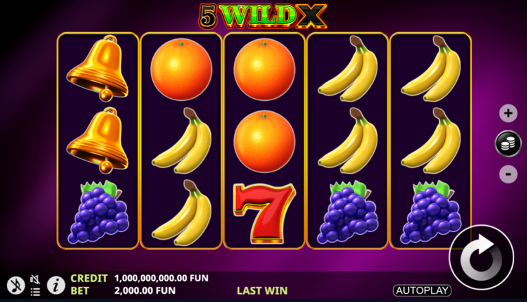 5 Wild X online slot gameplay screenshot