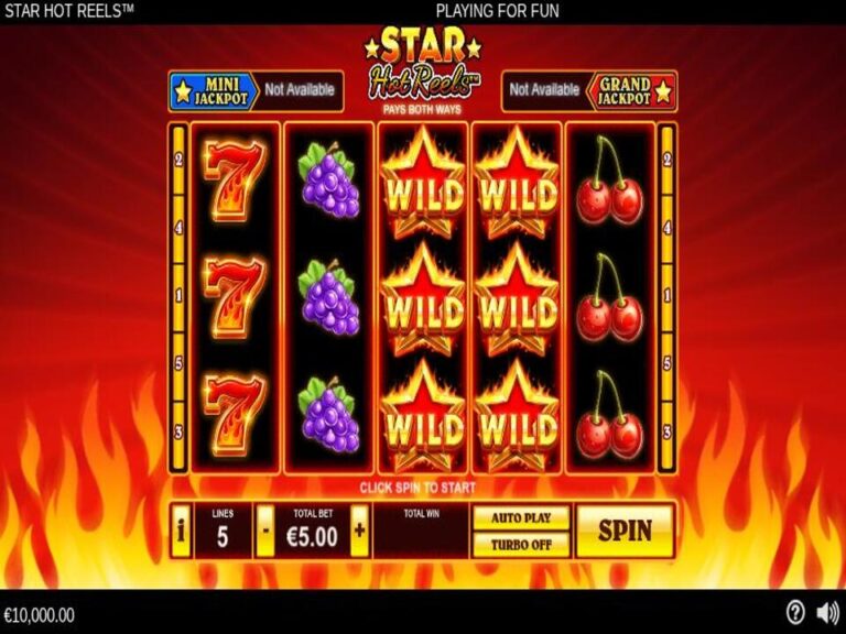 Star Hot Reels Online Video Slot screenshot