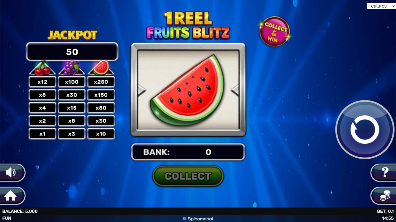 1 Reel - Fruits Blitz slot gameplay showing symbols on a 1x1 board