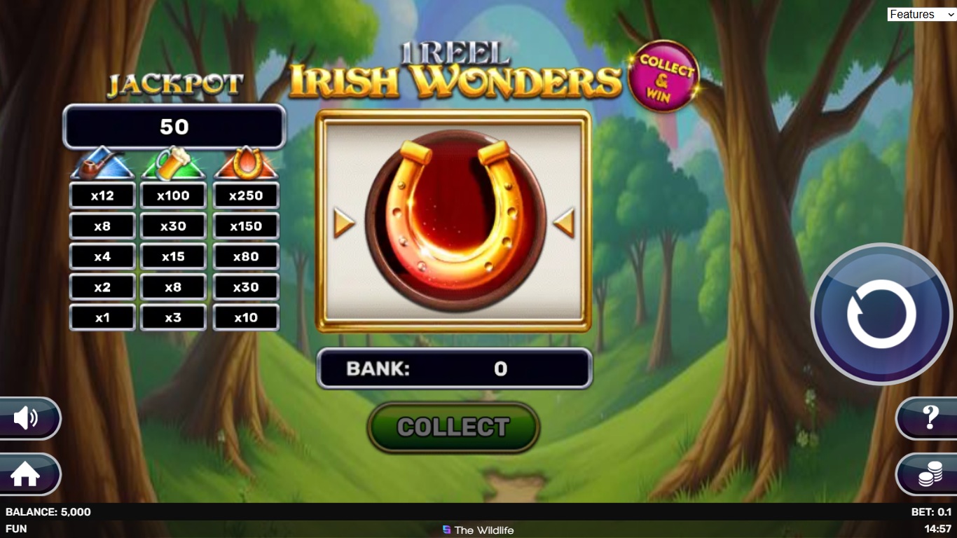 1 Reel - Irish Wonders slot gameplay showing symbols on a 1x1 board