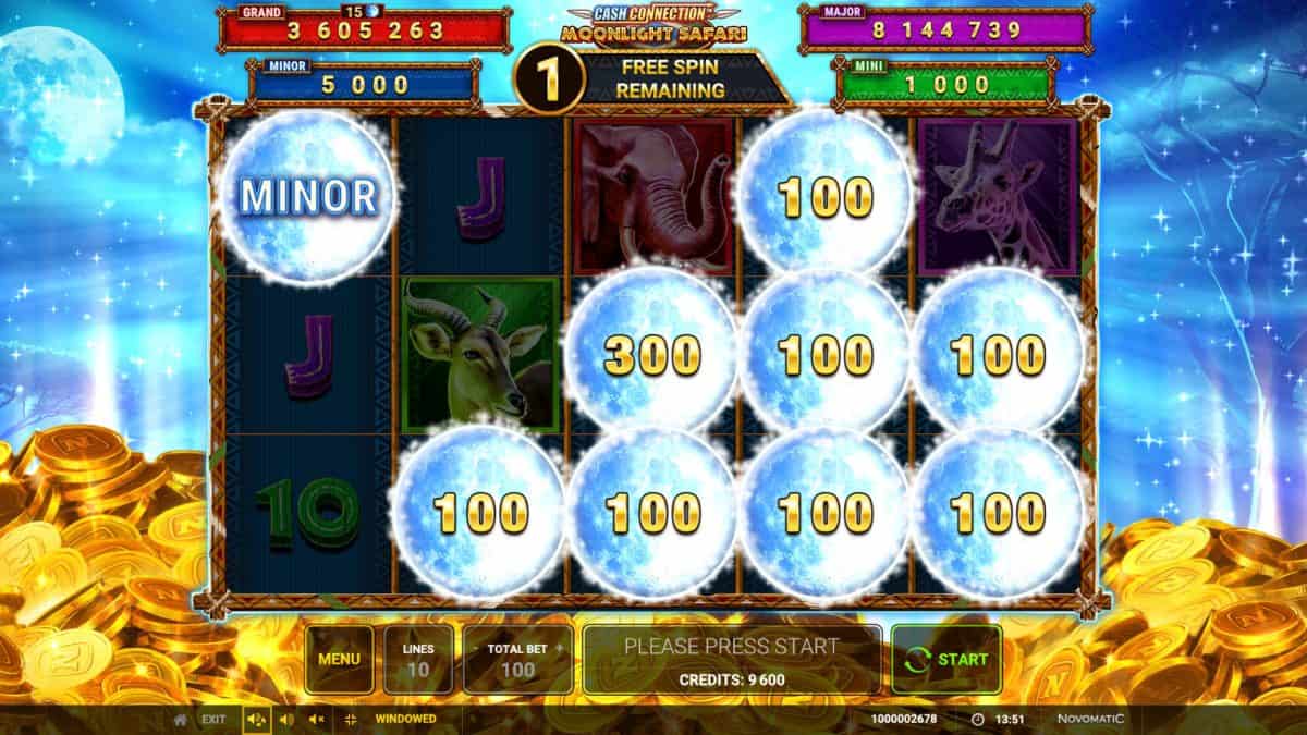 Cash Connection - Moonlight Safari gameplay