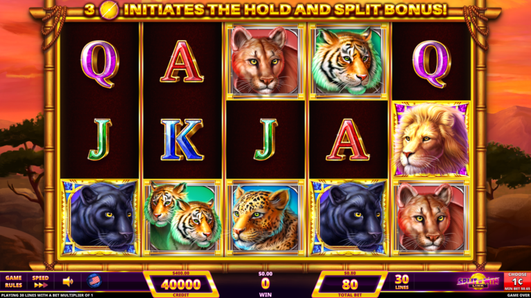 Cats Split 'n' Win gameplay