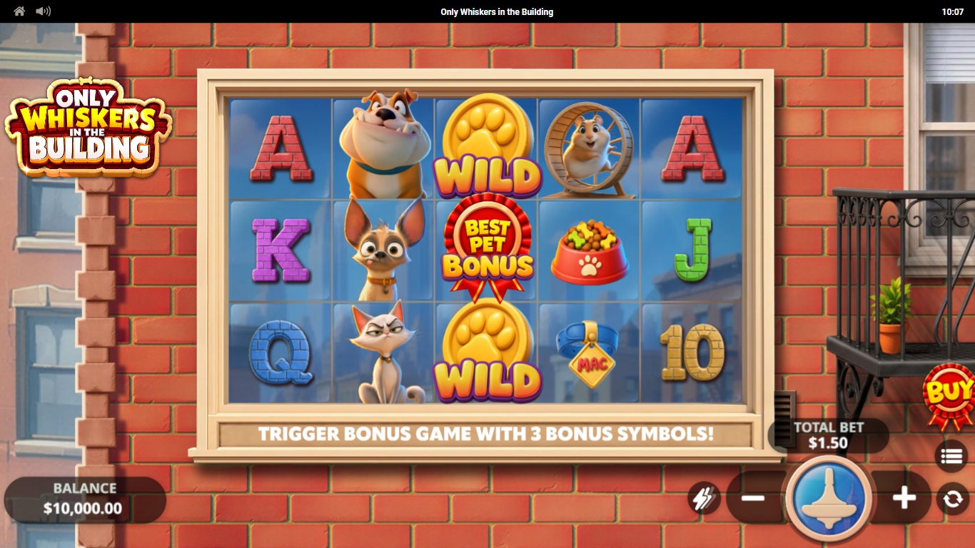 Only Whiskers in the Building gameplay