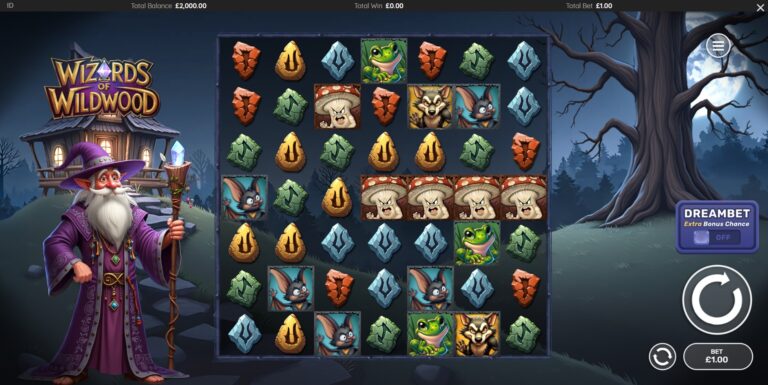 Wizards of Wild Wood gameplay
