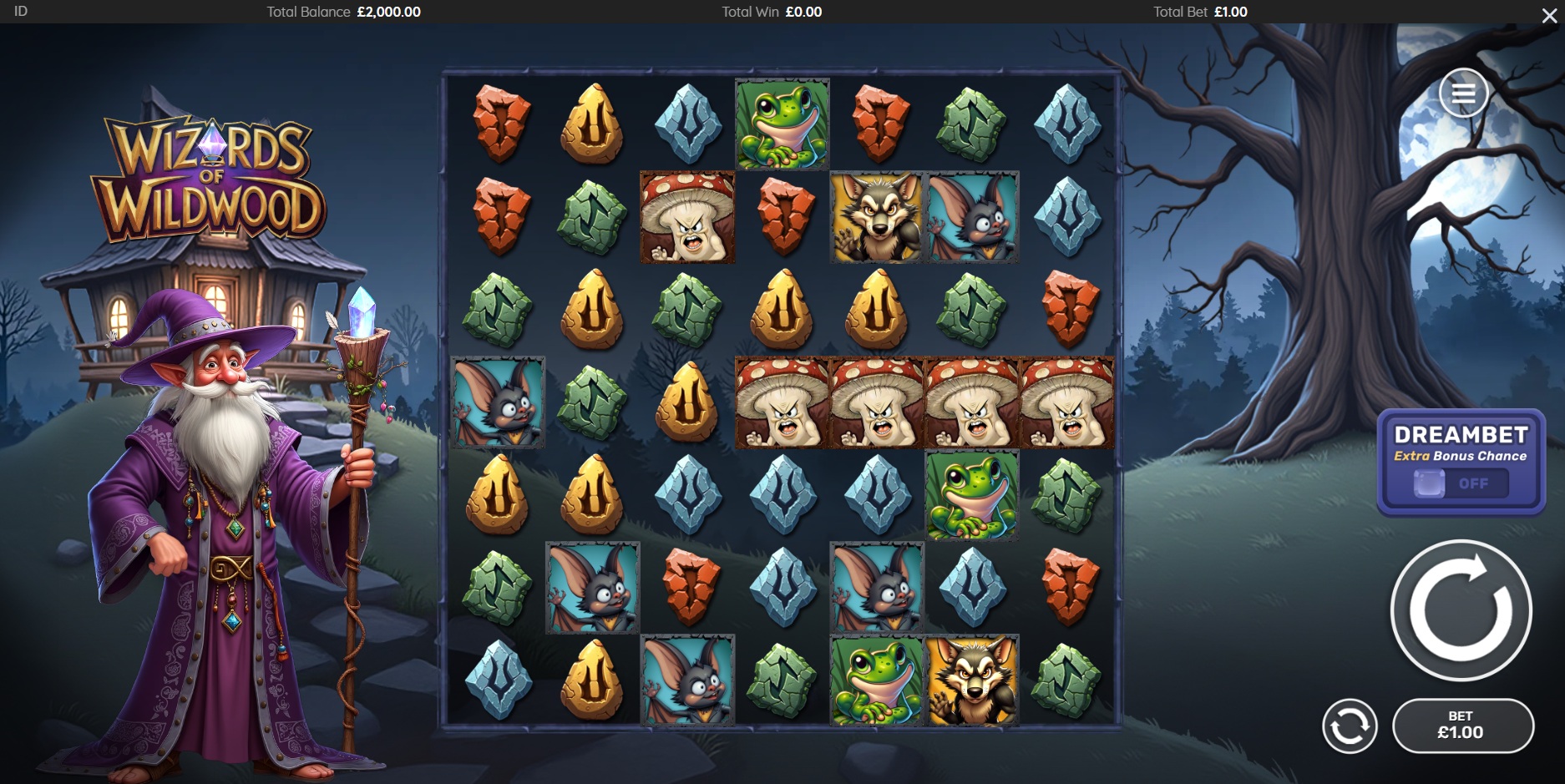 Wizards of Wild Wood gameplay
